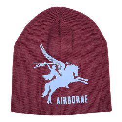 Beanie - Airborne Pegasus