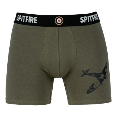 Zoom bild av spitfire