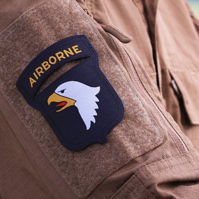 Zoom image of Velcro patch - Woven 101st. Airborne