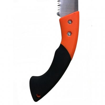 Zoom bild av Japansåg